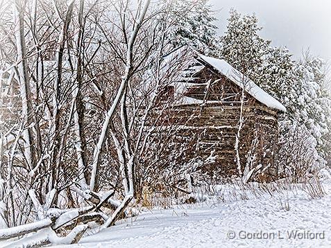 Snowy Old Log Barn_33923.jpg - Photographed near Rosedale, Ontario, Canada.